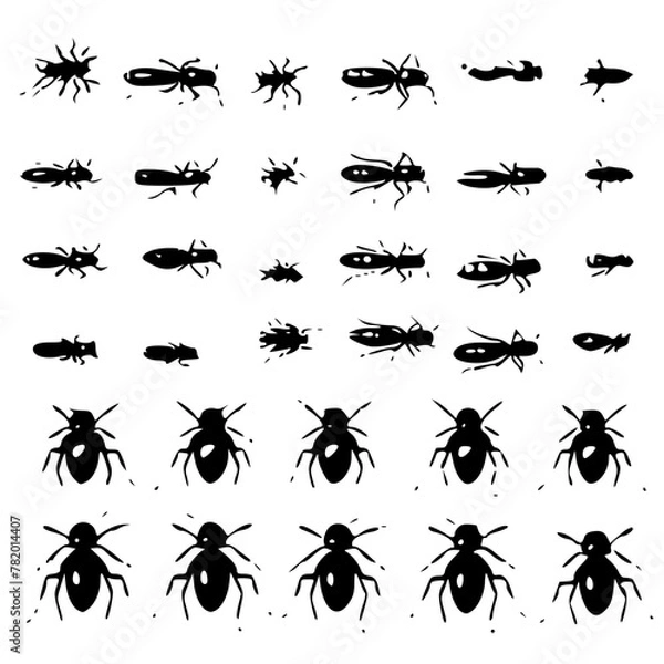 Fototapeta bug svg, beetle svg, svg bundle, insects svg, svg bugs, bug clipart, svg	bugs bundle svg, line art svg, Bugs Silhouette, insects clipart, outline bugs, Insect, insect, ant, bug, beetle, spider, vector