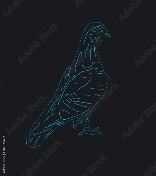 Obraz dove bird design, line art illustration.