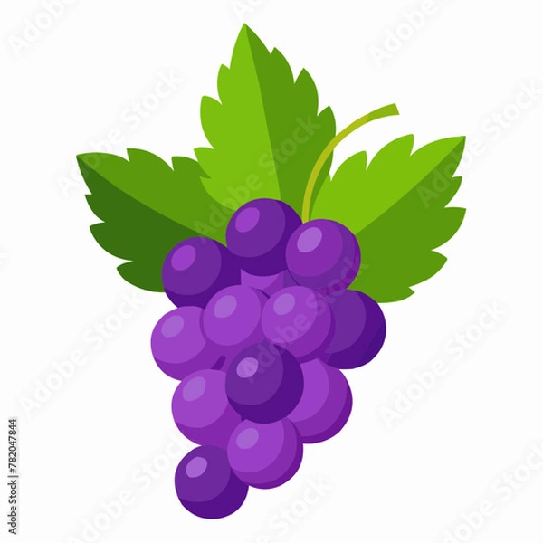 Obraz grapes isolated on white