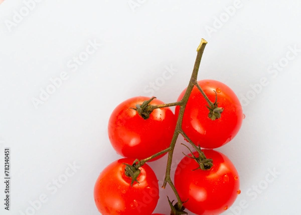 Obraz Tomaten