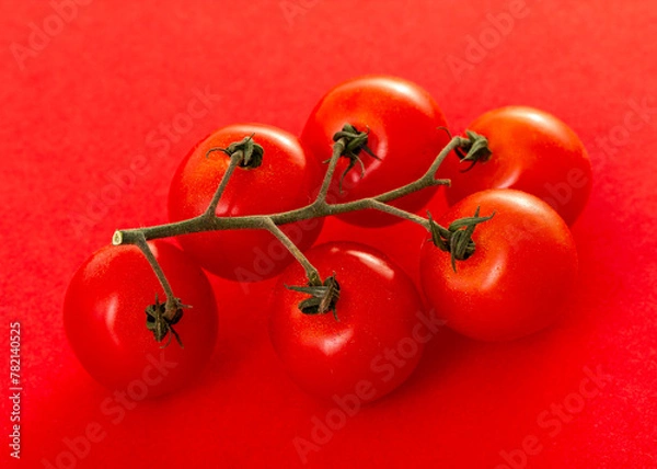 Obraz Tomaten