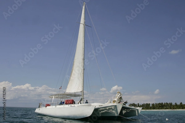Obraz catamaran
