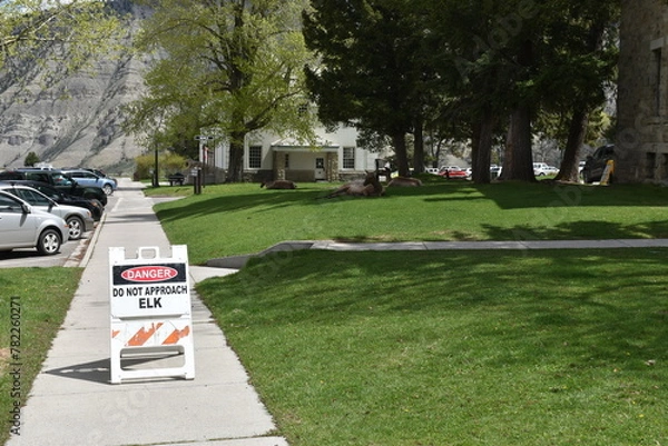 Fototapeta Wildlife, Forests, Mountains, and Landscapes in the northern USA