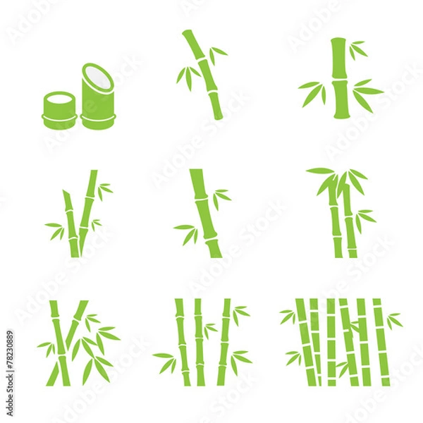 Obraz bamboo icon