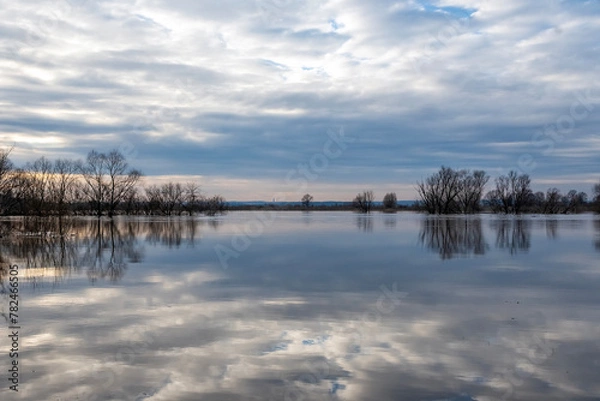 Fototapeta Spring flood on the Oka tributary of the Solotchinka River, Ryazan region, Russia