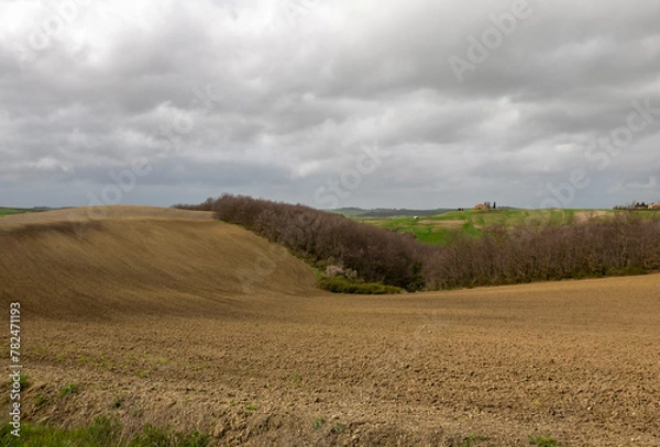 Fototapeta relaxing view of cultivated fields in spring