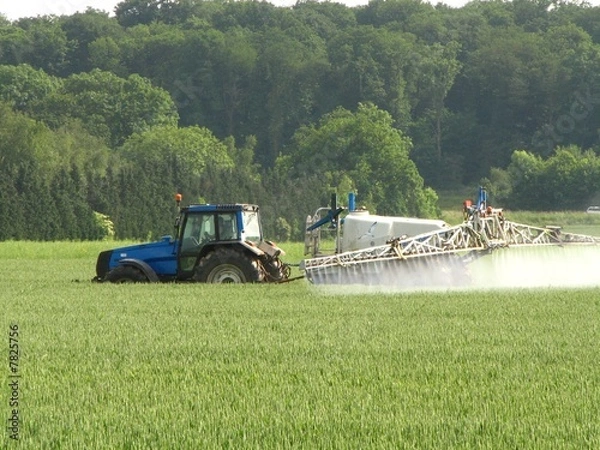 Obraz Leczenie pszenicy