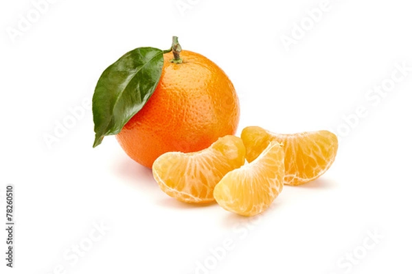 Obraz mandarines on white background