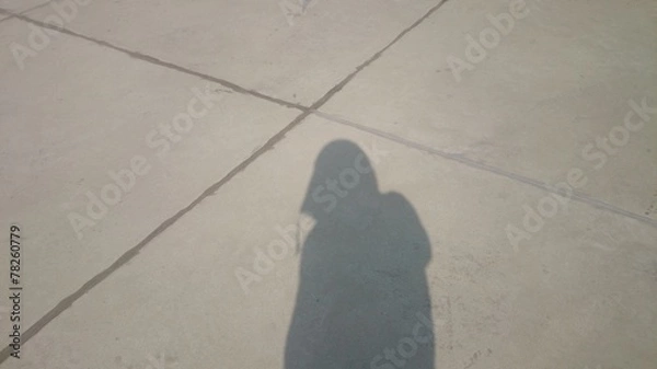 Obraz Shadow
