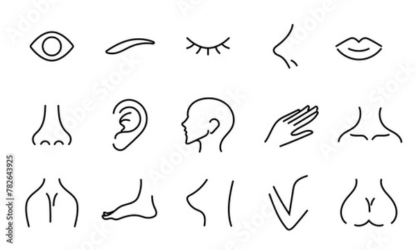 Obraz 体のパーツのアイコン/身体/人体/顔/頭/イラスト/ベクター