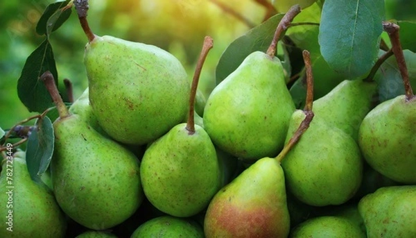 Obraz pears on the market