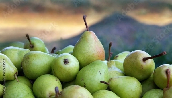 Obraz pears and apples