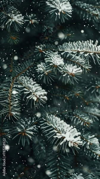 Fototapeta Detailed view of a pine tree covered in fresh snow, showcasing the contrast between the green needles and white snow. Wallpaper. Background.