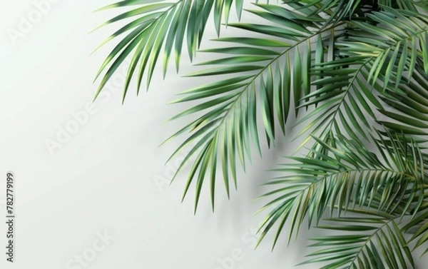 Fototapeta Green leaves isolated on white background and free copy space