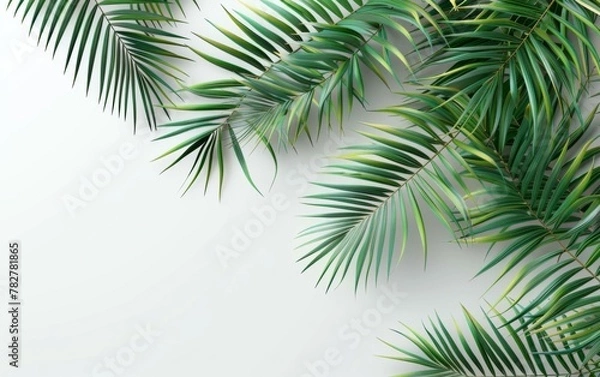 Fototapeta Green leaves isolated on white background and free copy space