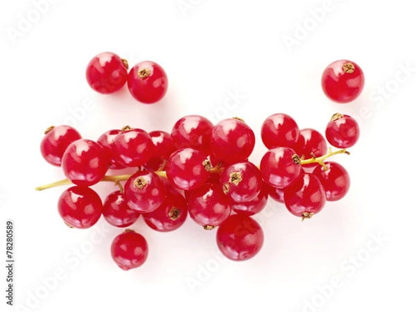 Fototapeta Cranberries