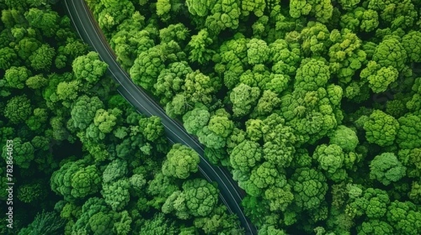 Fototapeta A top-down view of a vibrant green forest canopy with a curved highway weaving through it, symbolizing the forest's role in CO2 capture and environmental balance. 