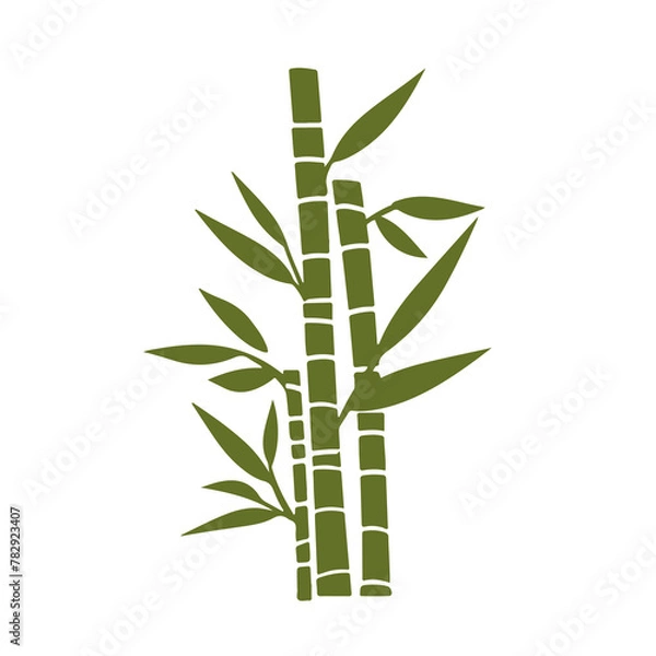 Obraz bamboo isolated on transparent background