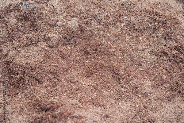 Fototapeta  a fine grind of coco peat for instant nutrient and minerals on the soil