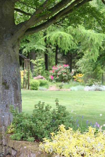 Obraz garden under the tree