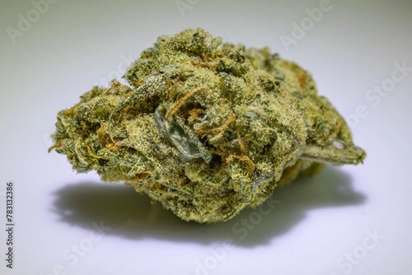 Fototapeta Marihuana