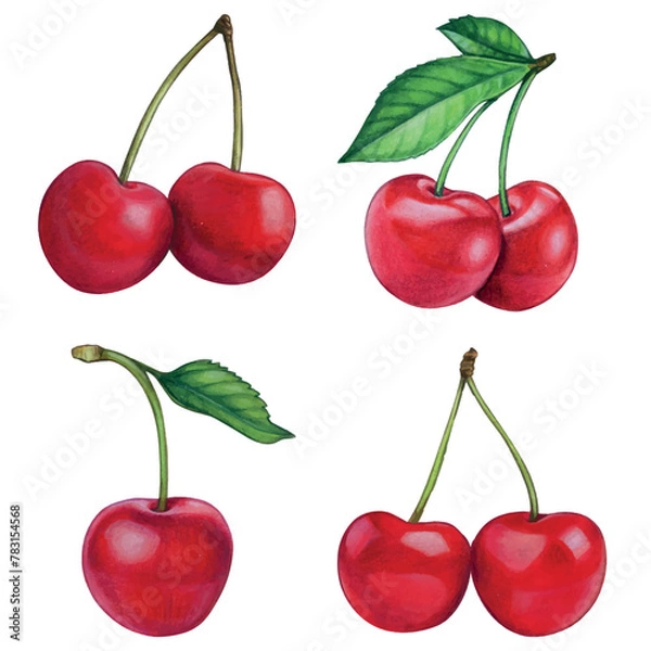Obraz watercolor hand drawn realistic cherries
