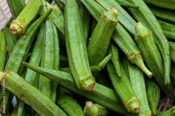 Obraz Pile of fresh Okra
