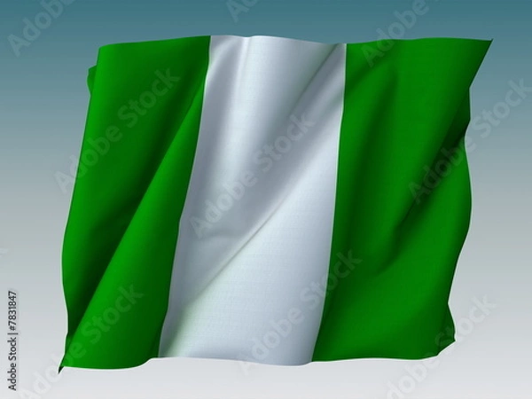 Obraz Flag of Nigeria