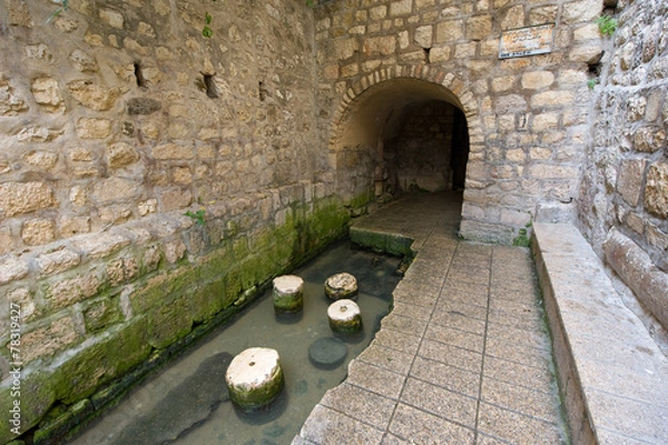 Obraz Sadzawka Siloam