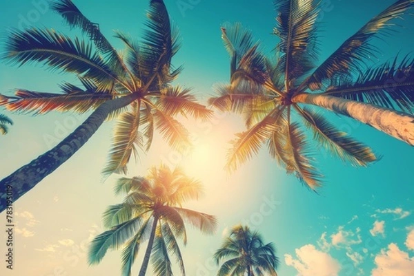 Fototapeta Coconut palm tree on tropical beach in summer - vintage colour effect. Beautiful simple AI generated image in 4K, unique.