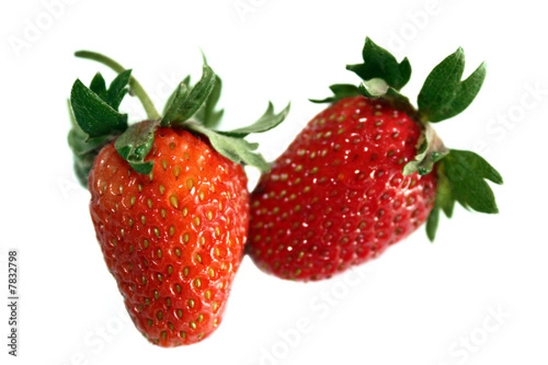 Fototapeta Strawberry Fragaria × ananassa  on white