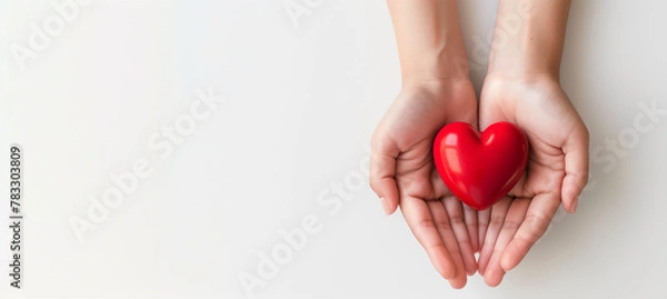 Obraz Woman hands holding red heart supporting blood donation to save life concept, isolated on white background.