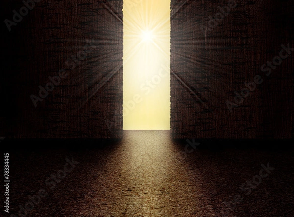 Obraz Exit to the Light
