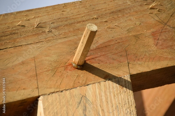 Fototapeta charpente