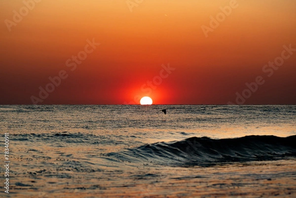 Obraz Sun setting on water with bird - 2