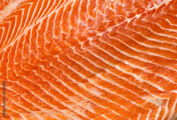 Obraz meat fish salmon eating fillet fish food