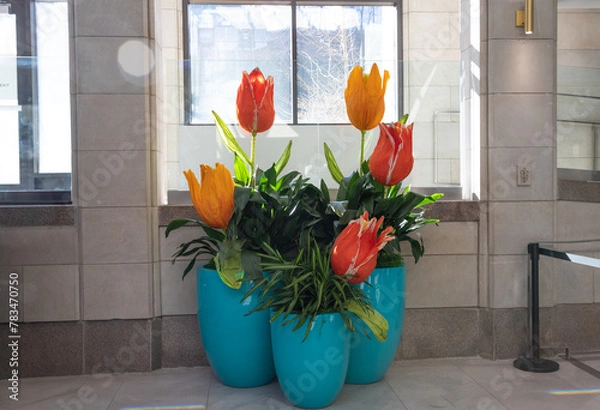 Obraz tulips in a vase