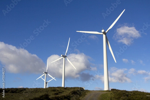 Obraz Parque eólico