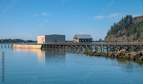 Obraz Garibaldi Oregon wildlife gathering and ocean inlet water.