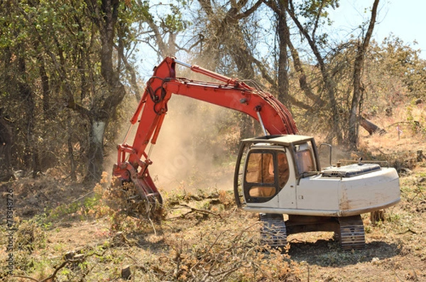 Fototapeta Brush Hoe