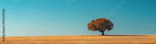 Obraz A minimalist representation concept