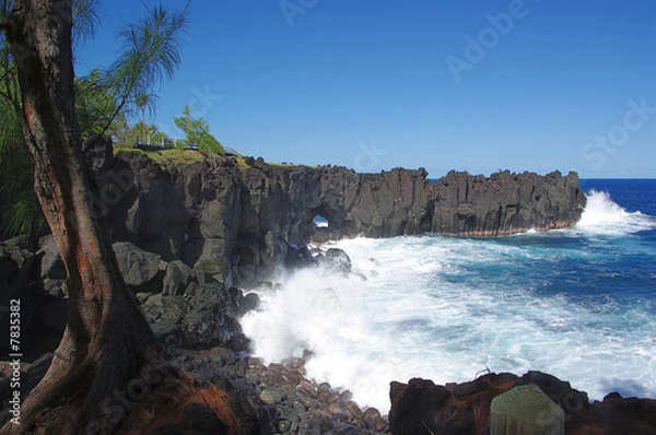 Obraz paskudna peleryna