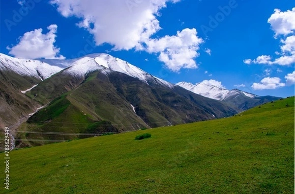 Fototapeta Landscape of a green field with snow-covered mountains in the background on a sunny day