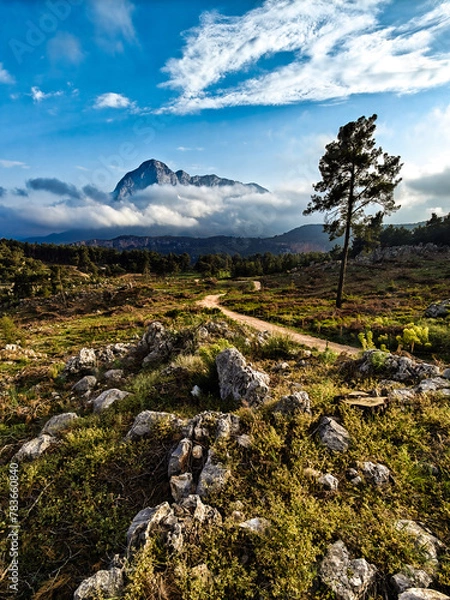Fototapeta landscape with sky and clouds