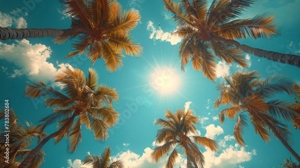 Fototapeta Tropical paradise - sunlight through palm trees