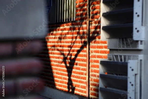 Obraz 그림자 나무