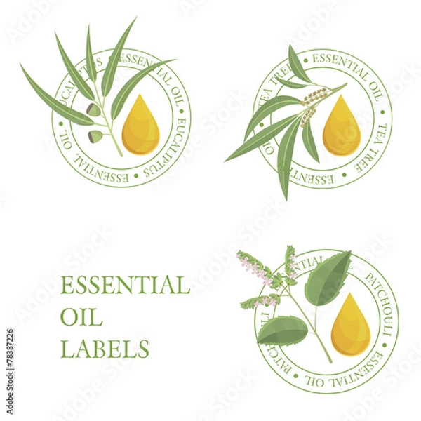 Obraz patchouli_tea tree_eucaliptus labels