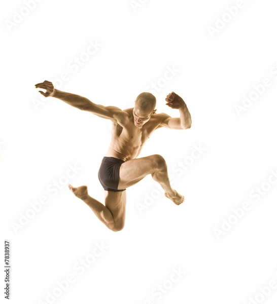 Obraz Dancer Leaping