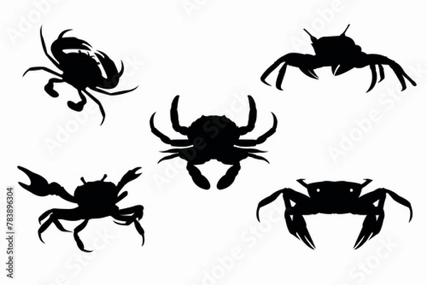 Obraz Crabs graphic icons set. Sea crabs contour silhouette and sign isolated on white background. Vector illustration
