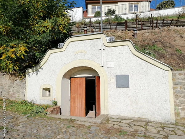 Obraz Wine cellar in Znojmo